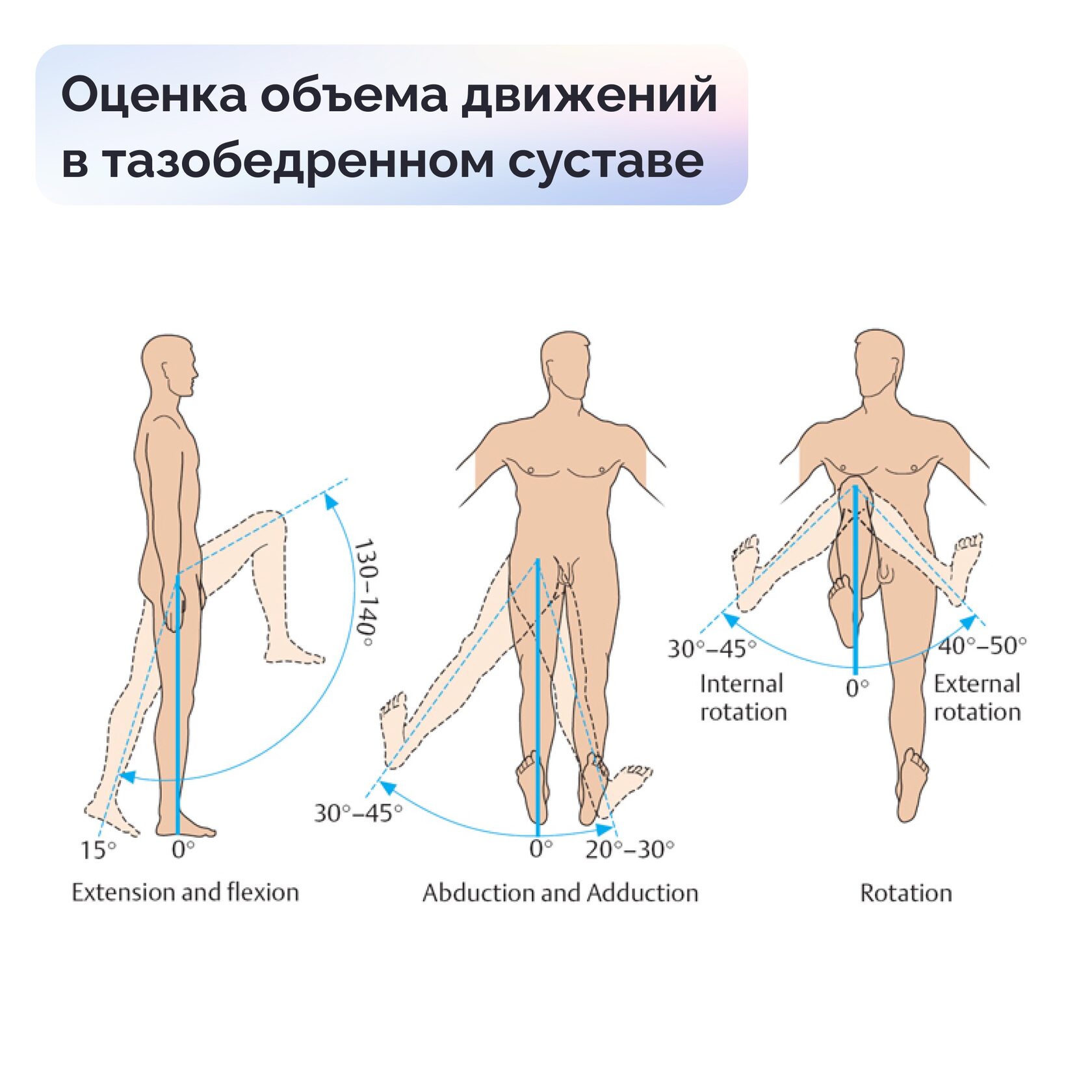Галифе. Что делать, чтобы избавиться