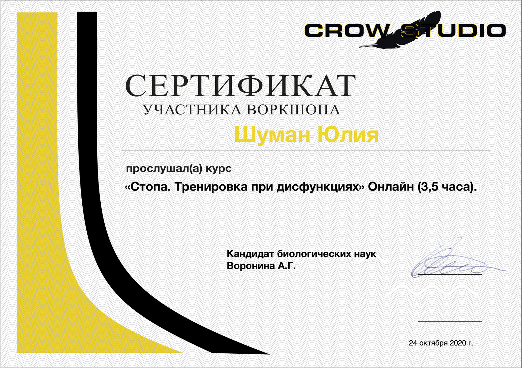 Дипломы и сертификаты Юлии Кочкиной, 35